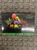 Botanical Succulents Plant Building Set – 771 Pieces